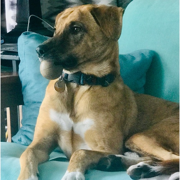 Meet your Posher, Wendy - Picture 3 of 5